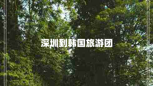 深圳到韓國旅游團