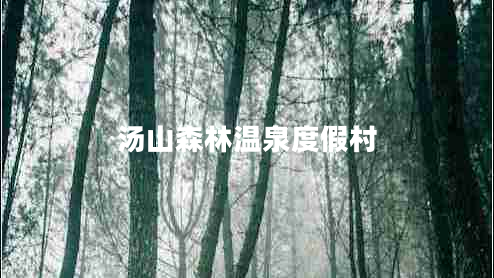 湯山森林溫泉度假村