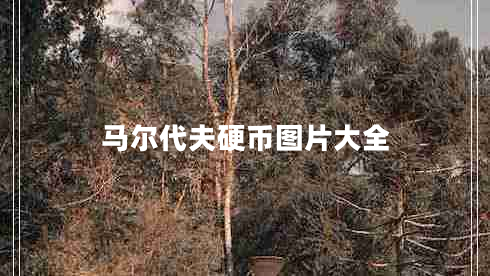 馬爾代夫硬幣圖片大全