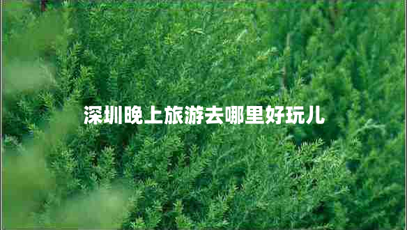 深圳晚上旅游去哪里好玩兒 深圳晚上旅游去哪里好玩兒