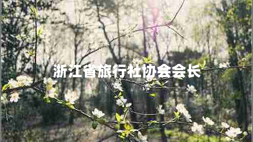 浙江省旅行社協(xié)會(huì)會(huì)長