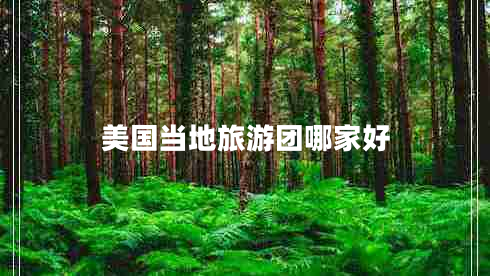 美國當(dāng)?shù)芈糜螆F哪家好