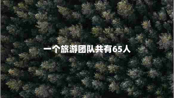 一個(gè)旅游團(tuán)隊(duì)共有65人