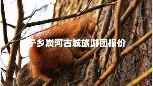 寧鄉(xiāng)炭河古城旅游團(tuán)報(bào)價(jià)