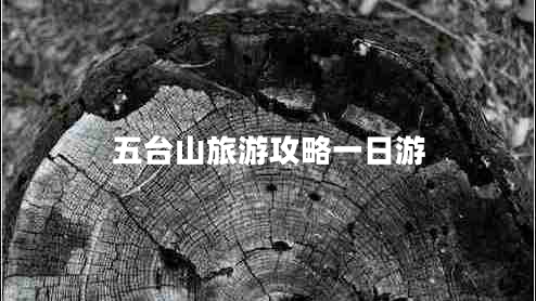五臺山旅游攻略一日游