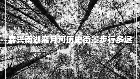 嘉興南湖離月河歷史街景步行多遠