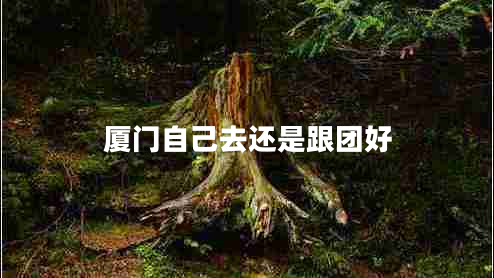 廈門自己去還是跟團好 廈門自己去還是跟團好