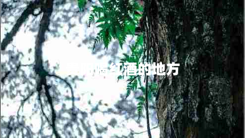 貴陽喝紅酒的地方