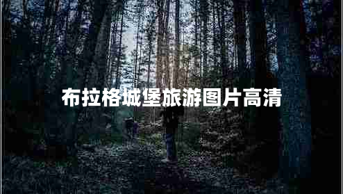 布拉格城堡旅游圖片高清