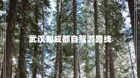 武漢到成都自駕游路線 武漢到成都自駕游路線