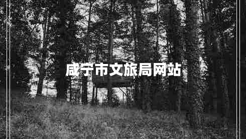 咸寧市文旅局網(wǎng)站