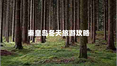 秦皇島冬天旅游攻略