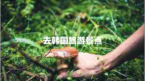 去韓國(guó)旅游景點(diǎn) 去韓國(guó)旅游景點(diǎn)