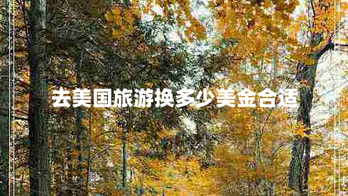 去美國(guó)旅游換多少美金合適