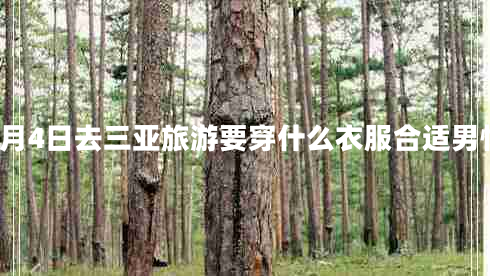 2月4日去三亞旅游要穿什么衣服合適男性