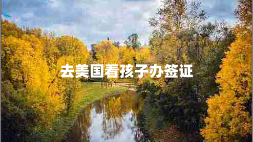 去美國(guó)看孩子辦簽證