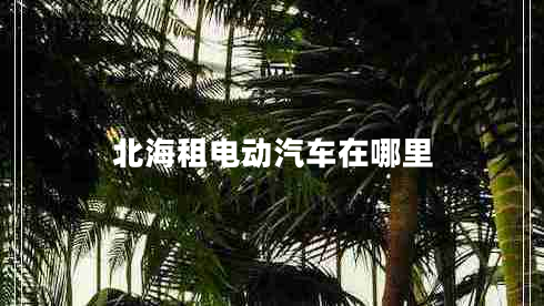 北海租電動(dòng)汽車在哪里