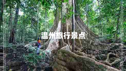 溫州旅行景點(diǎn)