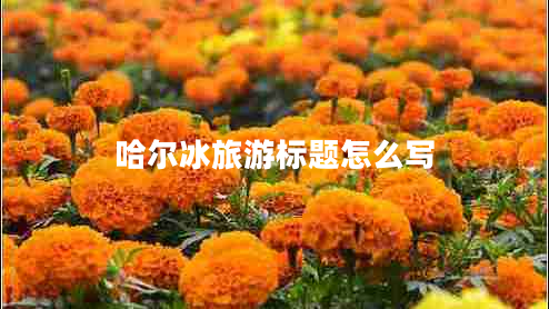 哈爾冰旅游標(biāo)題怎么寫