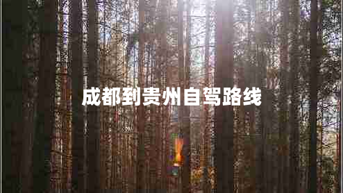 成都到貴州自駕路線