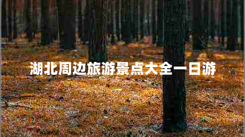 湖北周邊旅游景點(diǎn)大全一日游