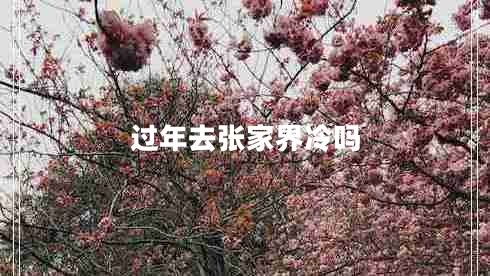 過年去張家界冷嗎