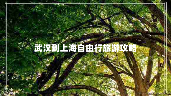 武漢到上海自由行旅游攻略 武漢到上海自由行旅游攻略