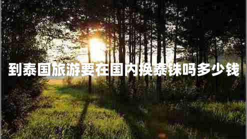 到泰國(guó)旅游要在國(guó)內(nèi)換泰銖嗎多少錢