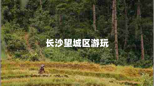 長沙望城區(qū)游玩