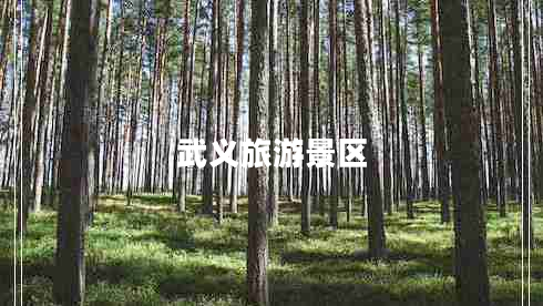 武義旅游景區(qū)