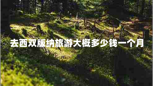 去西雙版納旅游大概多少錢一個月
