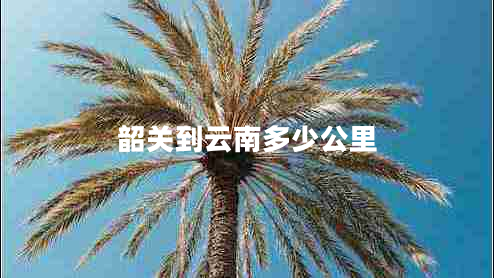 韶關到云南多少公里