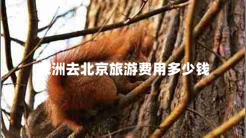株洲去北京旅游費(fèi)用多少錢