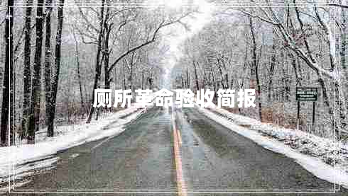 廁所革命驗(yàn)收簡(jiǎn)報(bào)