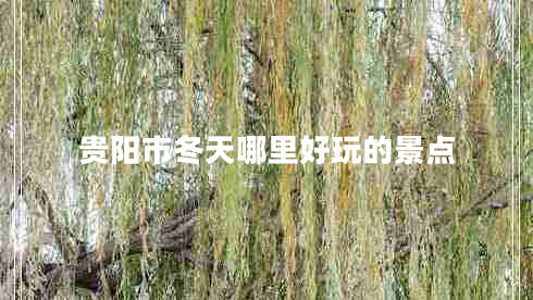 貴陽市冬天哪里好玩的景點(diǎn)