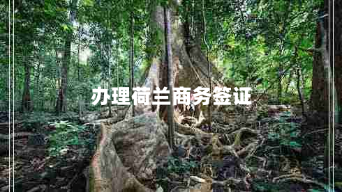 辦理荷蘭商務(wù)簽證 辦理荷蘭商務(wù)簽證