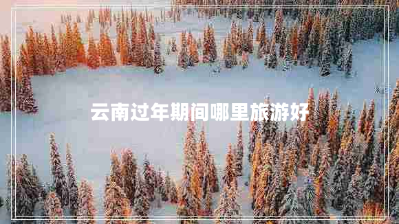 云南過年期間哪里旅游好