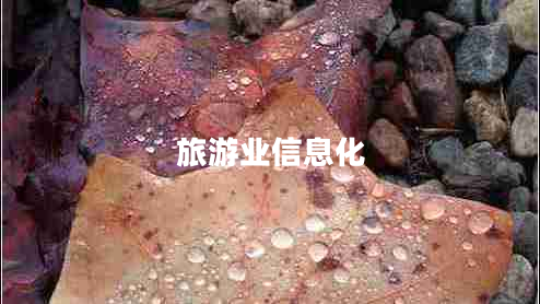 旅游業(yè)信息化