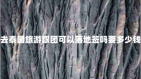 去泰國(guó)旅游跟團(tuán)可以落地簽嗎要多少錢