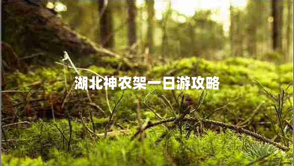 湖北神農(nóng)架一日游攻略