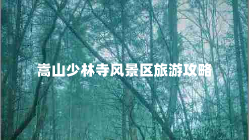 嵩山少林寺風(fēng)景區(qū)旅游攻略