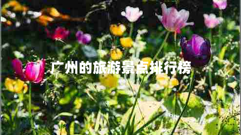 廣州的旅游景點(diǎn)排行榜