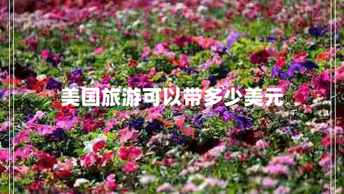 美國(guó)旅游可以帶多少美元