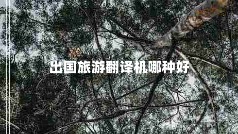 出國(guó)旅游翻譯機(jī)哪種好