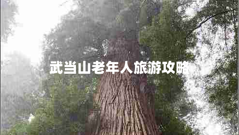 武當(dāng)山老年人旅游攻略