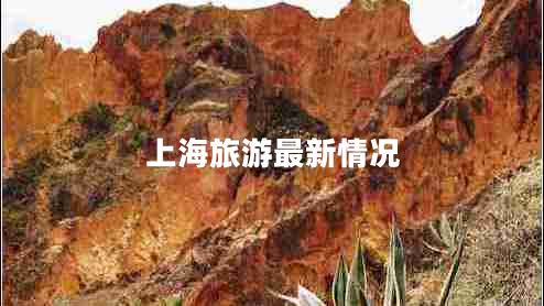 上海旅游最新情況 上海旅游最新情況