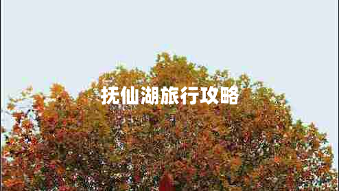撫仙湖旅行攻略