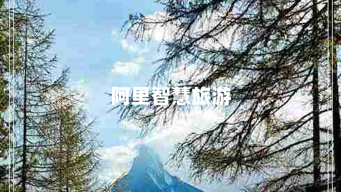 阿里智慧旅游 阿里智慧旅游