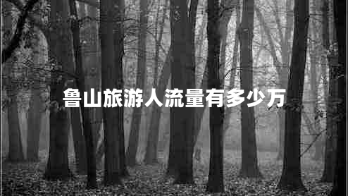 魯山旅游人流量有多少萬