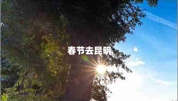 春節(jié)去昆明